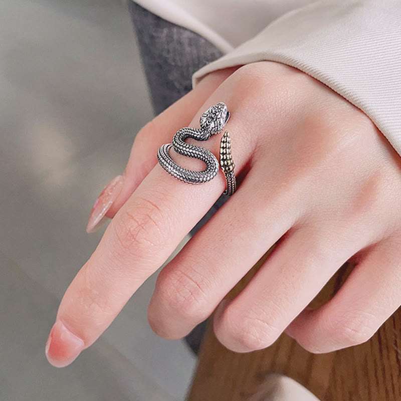 Anillo ajustable de equilibrio y calma del año de la serpiente en plata de ley 925 con Buddha Stones