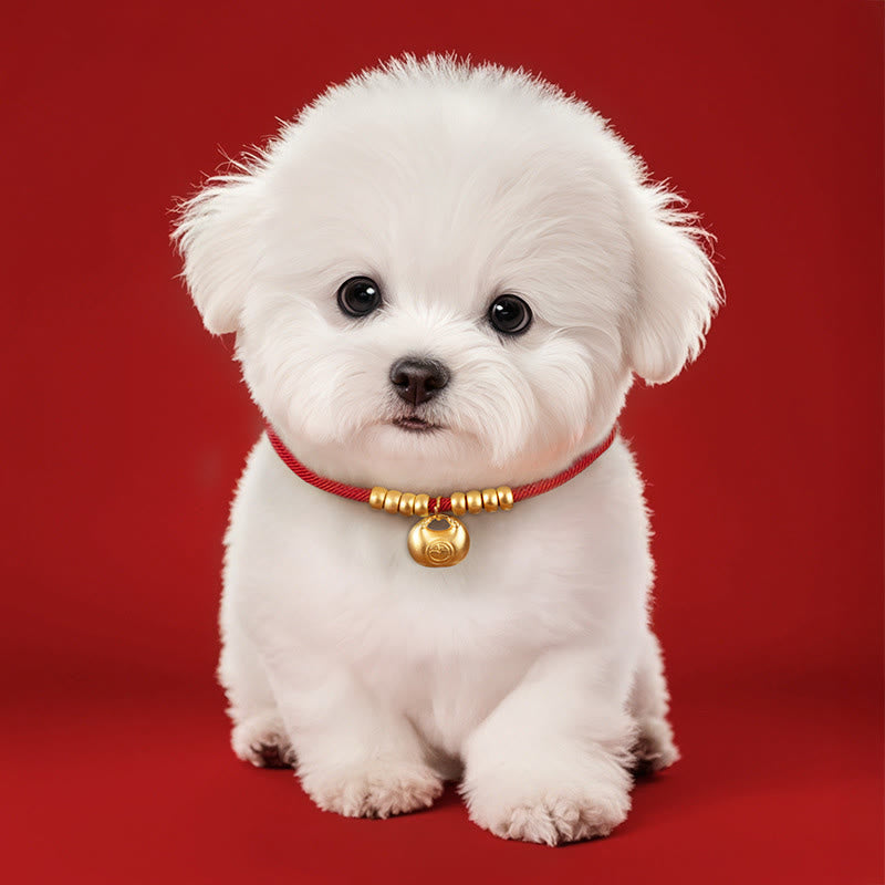Collar ajustable con cuentas de hilo rojo de Buddha Stones para gatos y perros pequeños - image 3