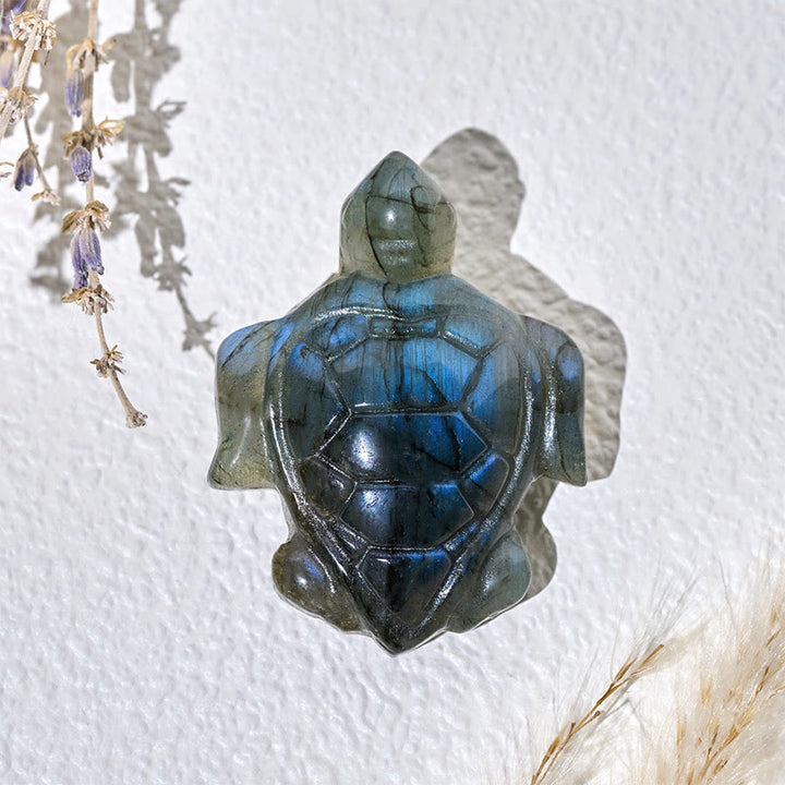 Buddha Stones Figura de tortuga de labradorita natural, estatua protectora de la sabiduría, decoración del hogar - image 3