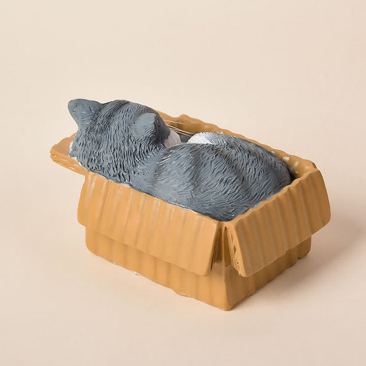 Buddha Stones Gato durmiendo pintado en una caja de papel, decoración de resina con animales adorables - image 16