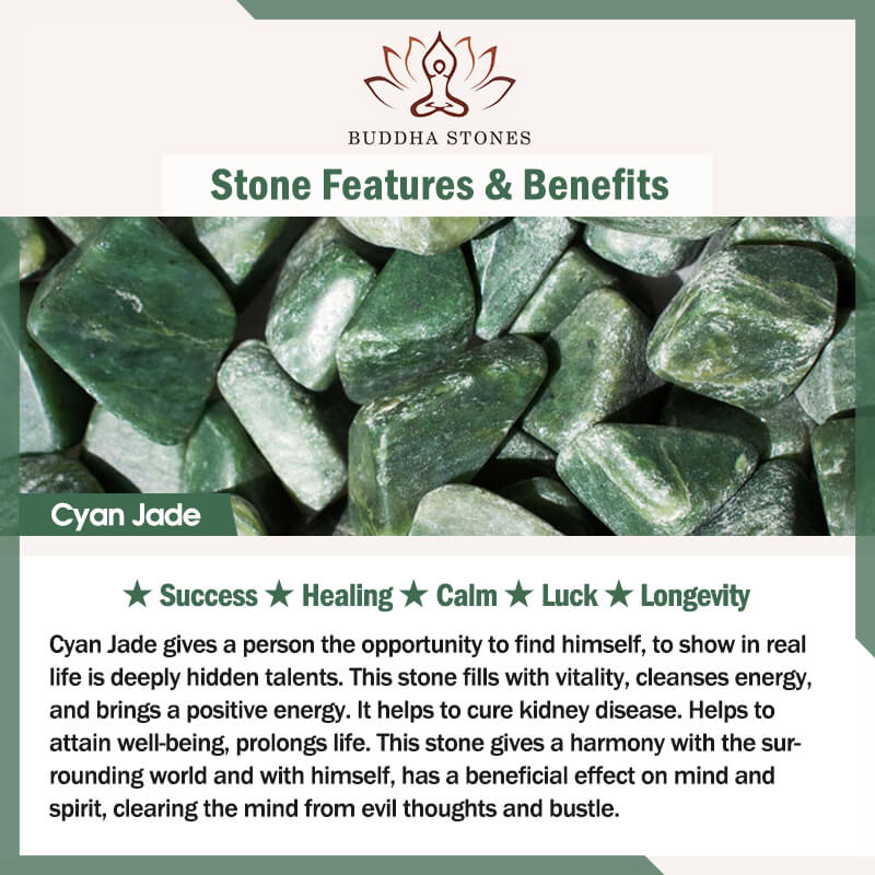 Buddha Stones FengShui Jade PiXiu bendición coche colgante decoración