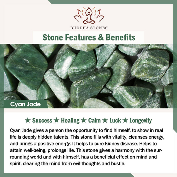 Buddha Stones FengShui Jade PiXiu bendición coche colgante decoración