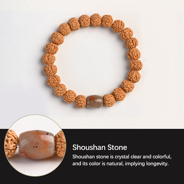 Buddha Stones Tíbet Rudraksha Bodhi Semilla Riqueza Pulsera auspiciosa
