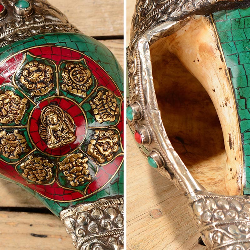 Tibetano hecho a mano grabado Shankha doble Dorje Buda Concha riqueza decoración positiva