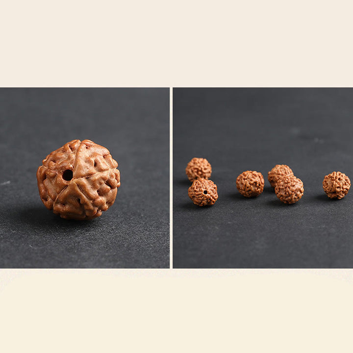 Pulsera de la suerte de la riqueza de la moneda de cobre de PiXiu de la semilla de Bodhi de Rudraksha del Tíbet con Buddha Stones