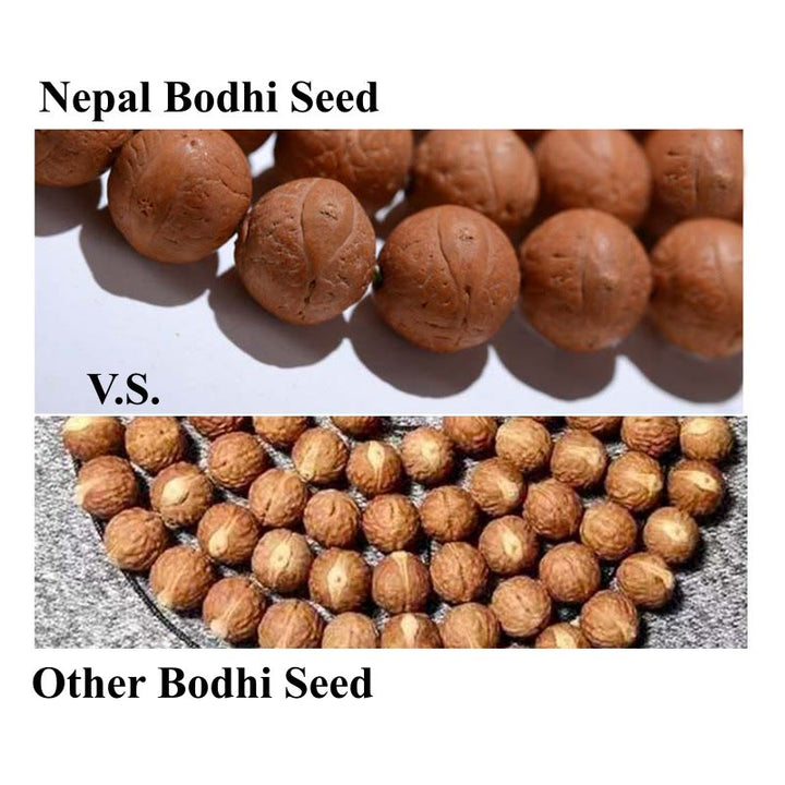 Buddha Stones 108 cuentas Mala Nepal semilla Bodhi suerte riqueza borla pulsera