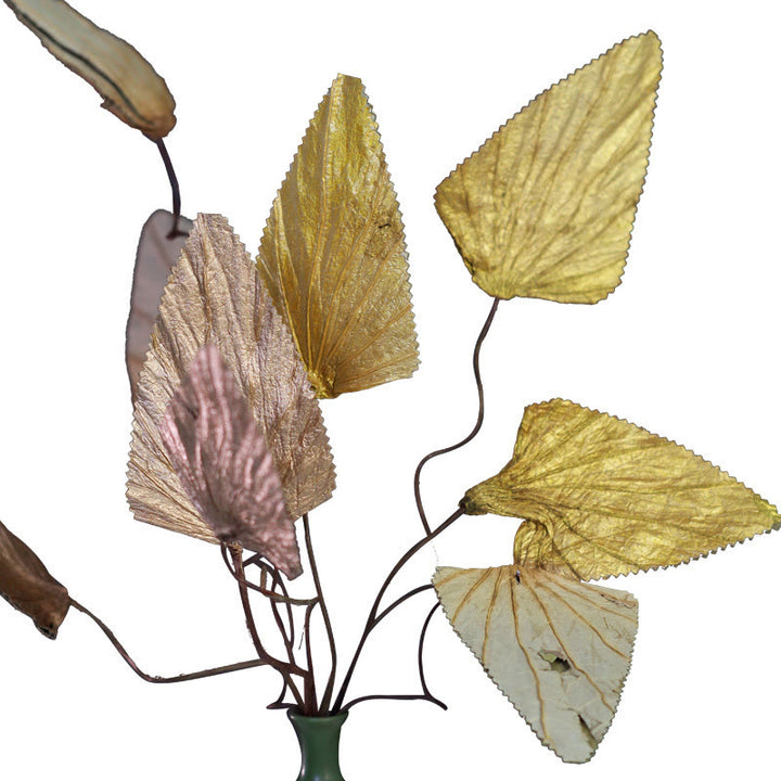 Ramo de plantas con tallo de hoja de loto triangular seco Natural, adornos para decoración del hogar
