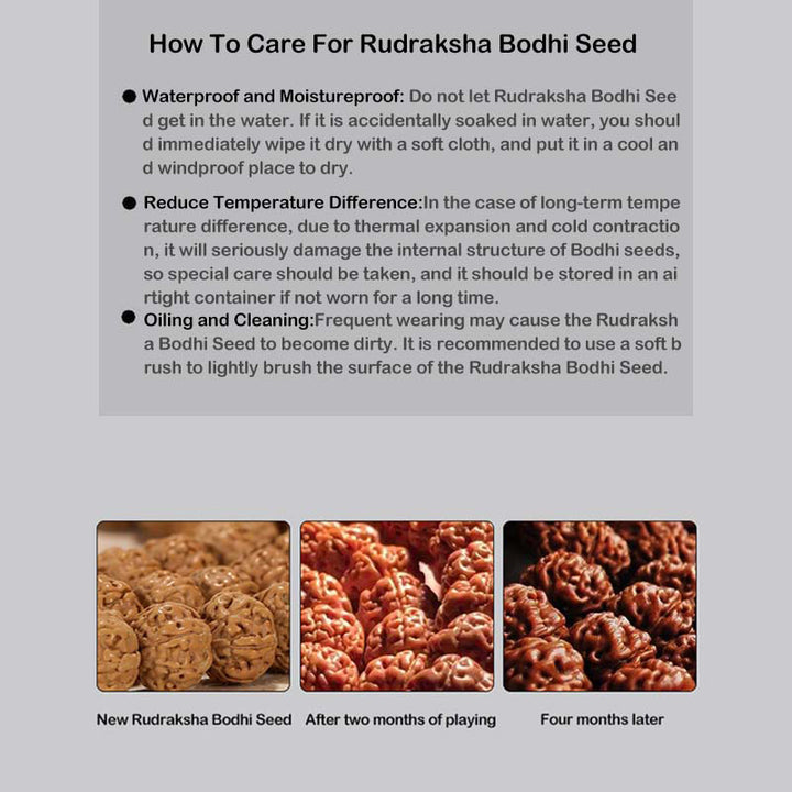 Buddha Stones Tíbet Rudraksha Bodhi Semilla Dzi Cuenta Ámbar Turquesa Pulsera de Riqueza