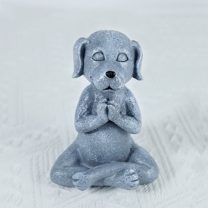 Decoración Zen Meditando Perro Gato Rana