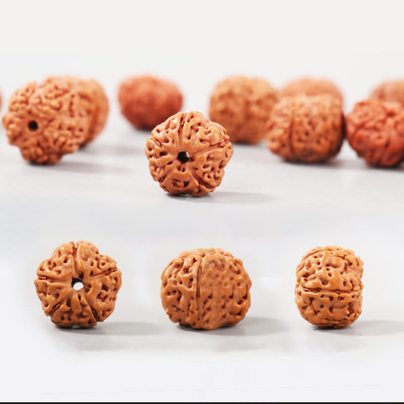 Buddha Stones Tíbet Rudraksha Bodhi Semilla Riqueza Pulsera auspiciosa
