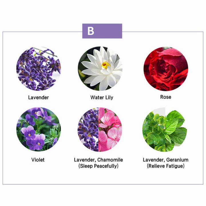 Juego de aceites esenciales curativos para aromaterapia, 6 uds., lavanda, naranja, jazmín, hierba de limón, calmante