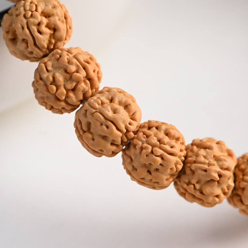 Buddha Stones Tíbet Rudraksha Bodhi Semilla Riqueza Pulsera auspiciosa