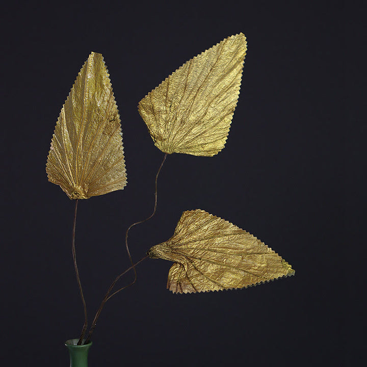 Ramo de plantas con tallo de hoja de loto triangular seco Natural, adornos para decoración del hogar - 10 hojas de oro - image 4